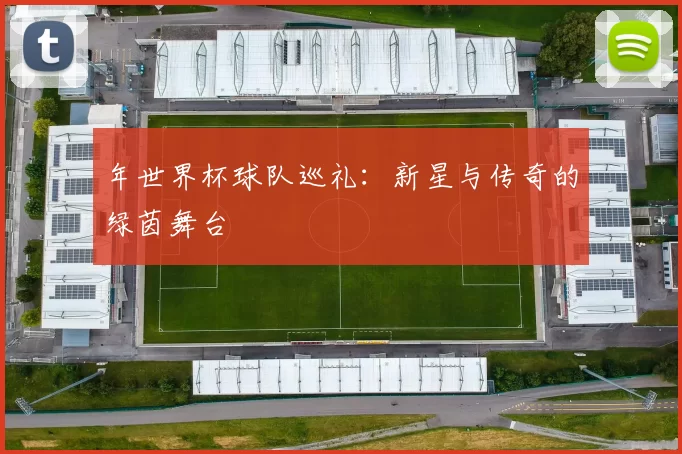 年世界杯球队巡礼:新星与传奇的绿茵舞台