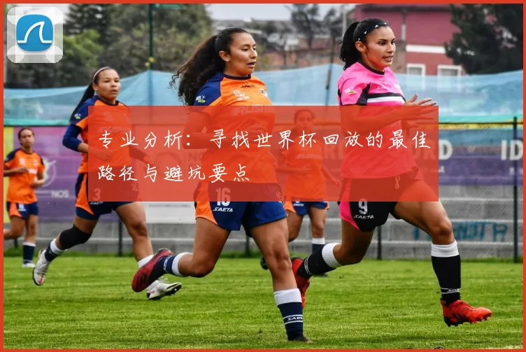 专业分析：寻找世界杯回放的最佳路径与避坑要点
