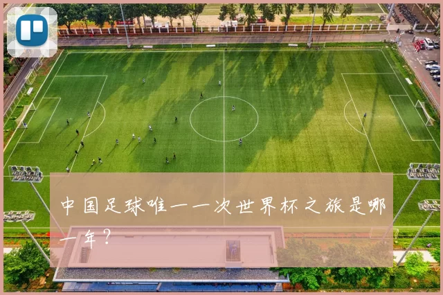 中国足球唯一一次世界杯之旅是哪一年?
