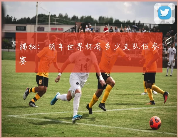 揭秘：明年世界杯有多少支队伍参赛