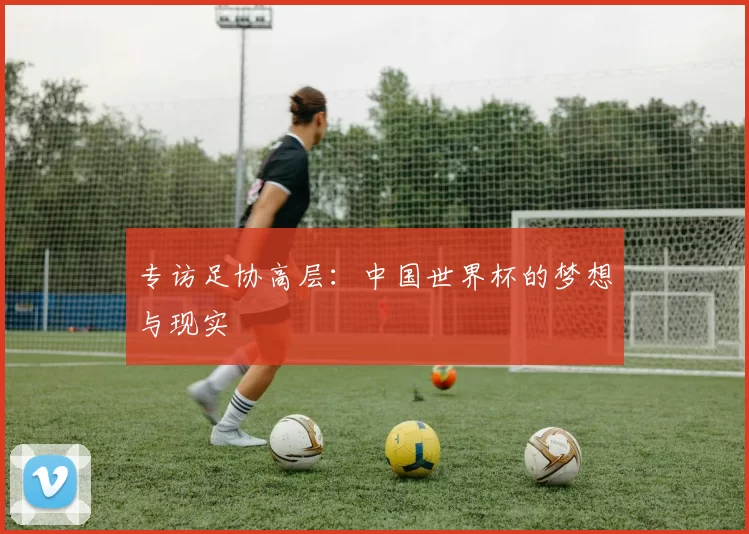 专访足协高层:中国世界杯的梦想与现实